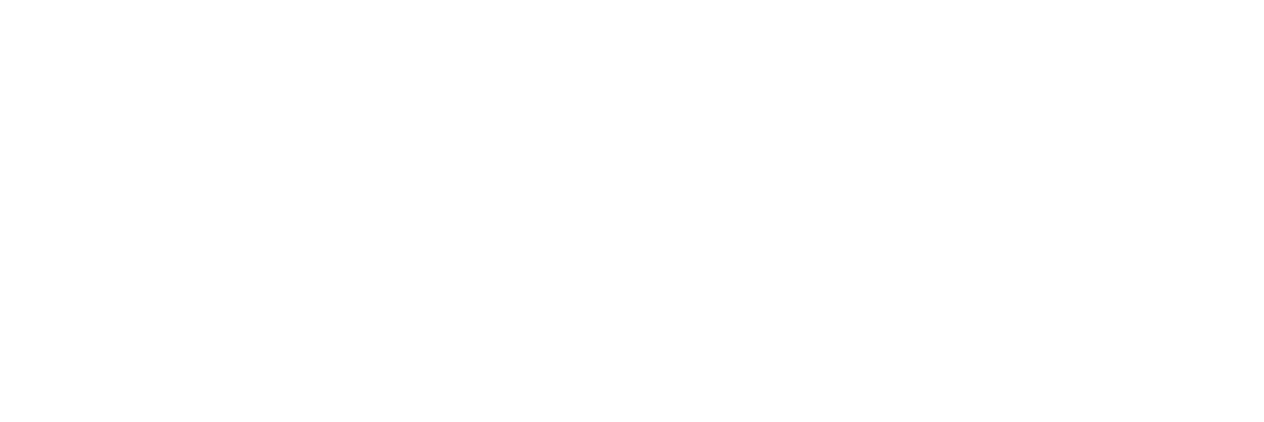 logo 1 (1)